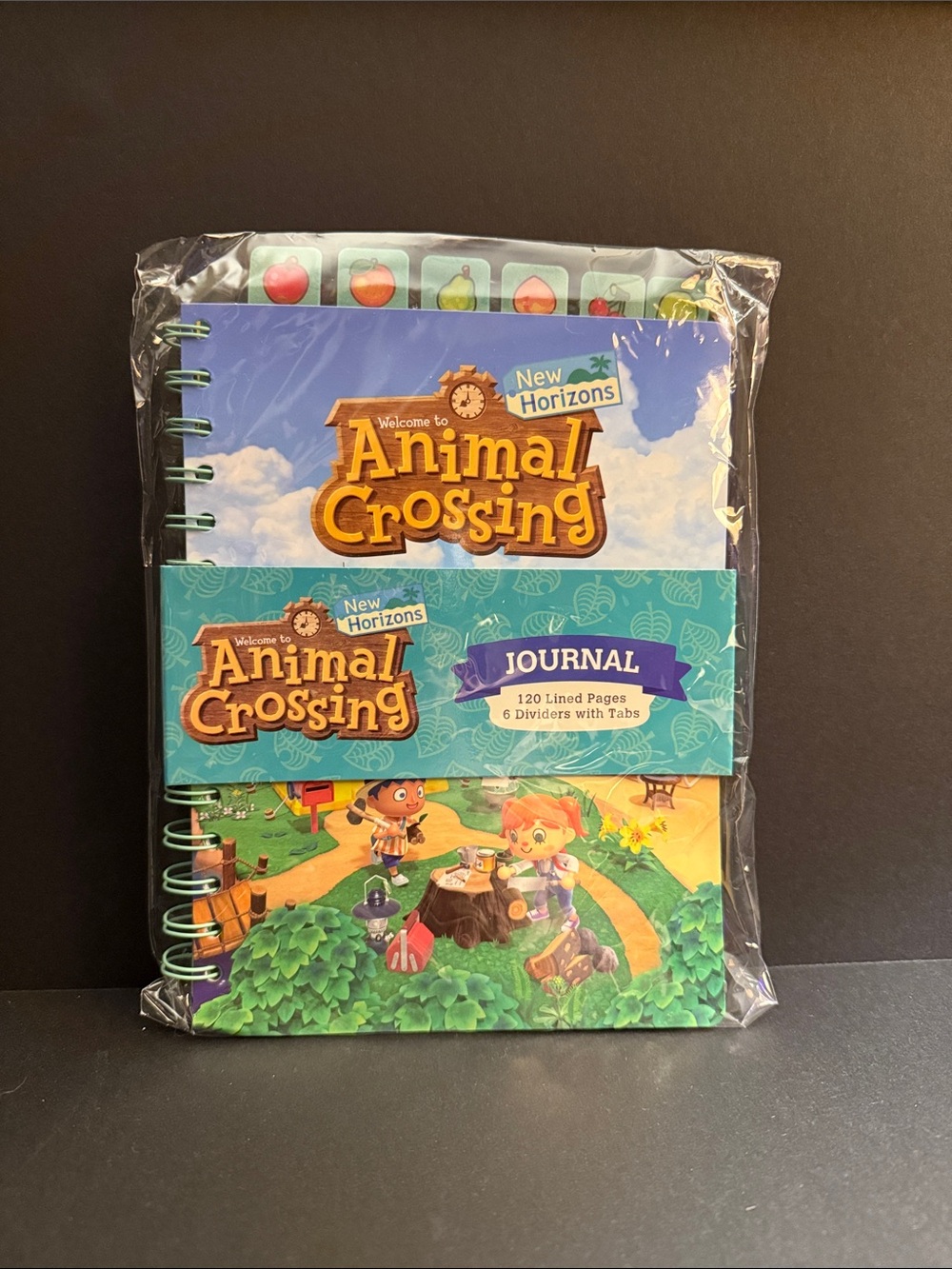 Nintendo / Animal Crossing New Horizons - Spiral Journal, Blue & Green